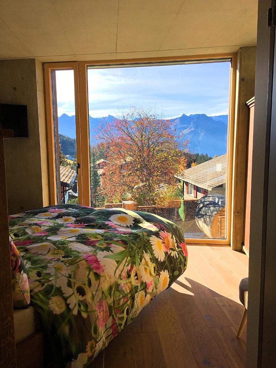 Mountain Chalet อัมเดน ภายนอก รูปภาพ